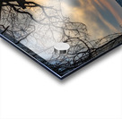 McLaughlin Bay Wildlife Reserve lake birds Acrylic print