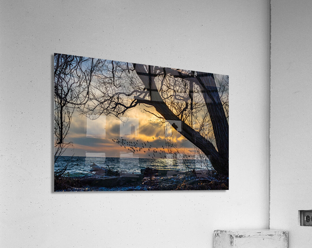 McLaughlin Bay Wildlife Reserve lake birds Acrylic Print