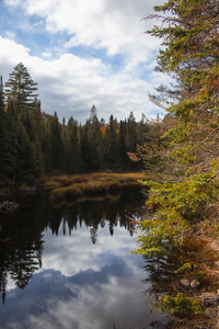 Algonquin Track and Tower
