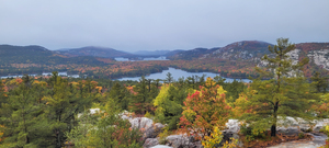 Killarney   The Crack 2