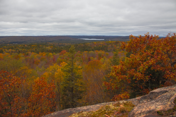 Algonquin Centenial Ridges 3 by Roy Hicks Photography