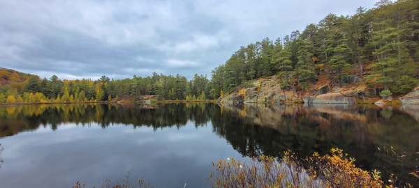 Algonquin Centenial Ridges 7 by Roy Hicks Photography