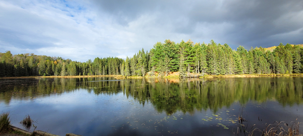 Algonquin Logging Museum trail by Roy Hicks Photography