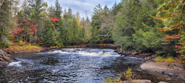 Algonquin Track and Tower Trail 2 by Roy Hicks Photography