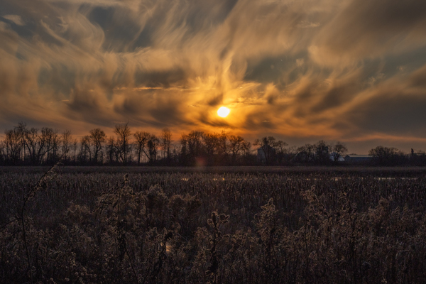 McLaughlin Bay Wildlife Reserve sunset by Roy Hicks Photography