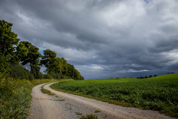 Sunday Drive by Roy Hicks Photography