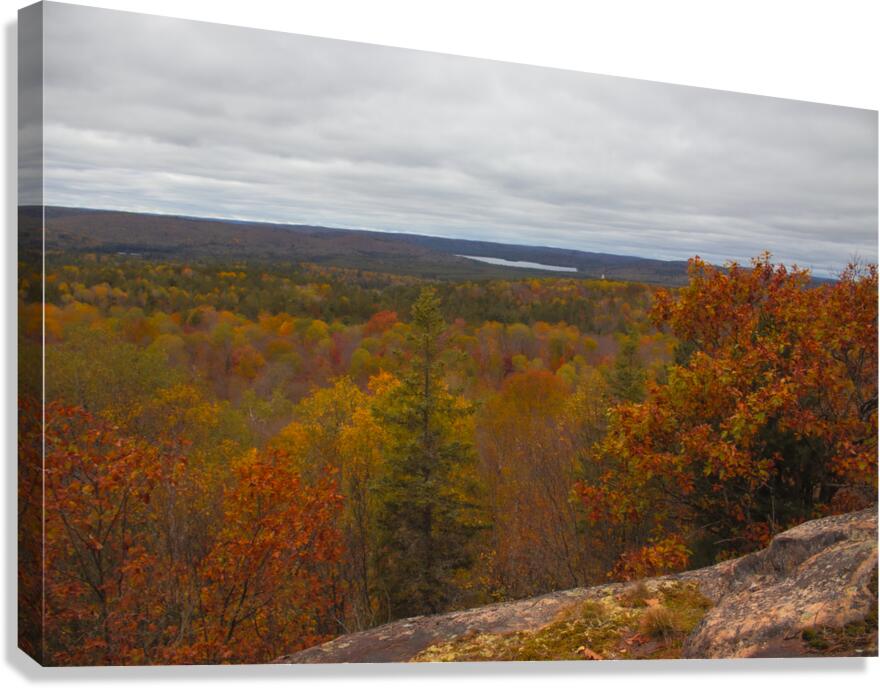 Algonquin Centenial Ridges 3 Canvas Print