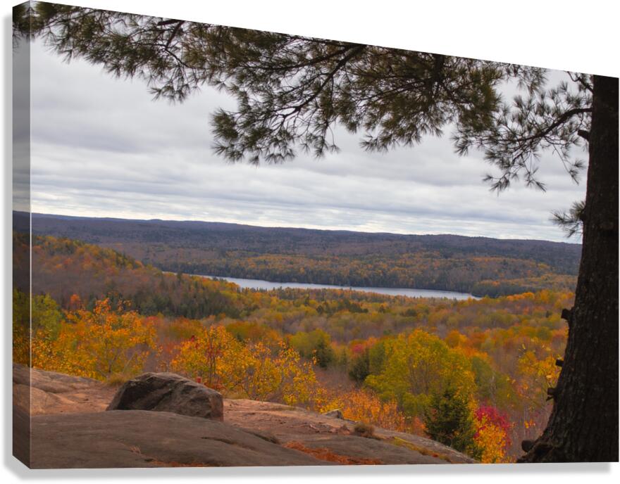 Algonquin Centenial Ridges 2 Canvas Print