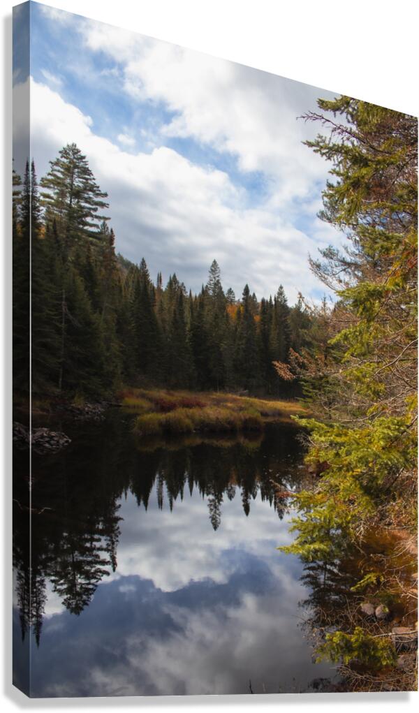 Algonquin Track and Tower Canvas Print
