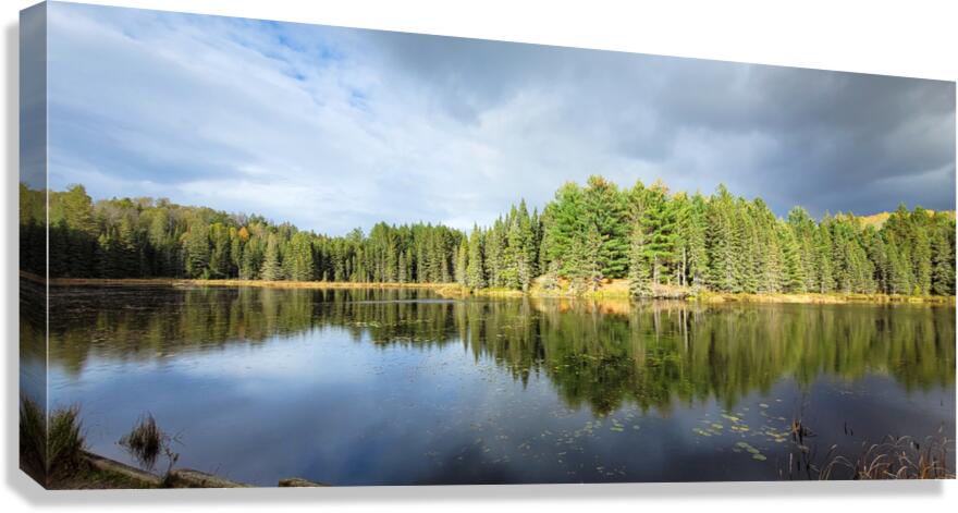 Algonquin Logging Museum trail Canvas Print