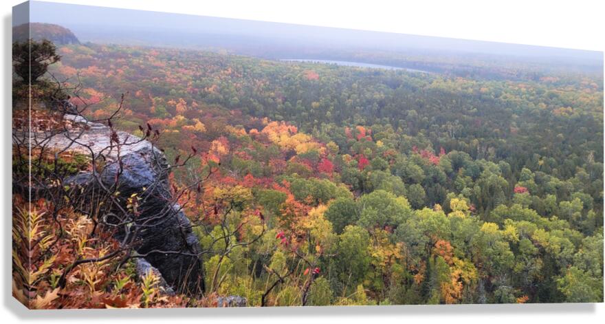 Cup and Saucer Trail 1 Canvas Print