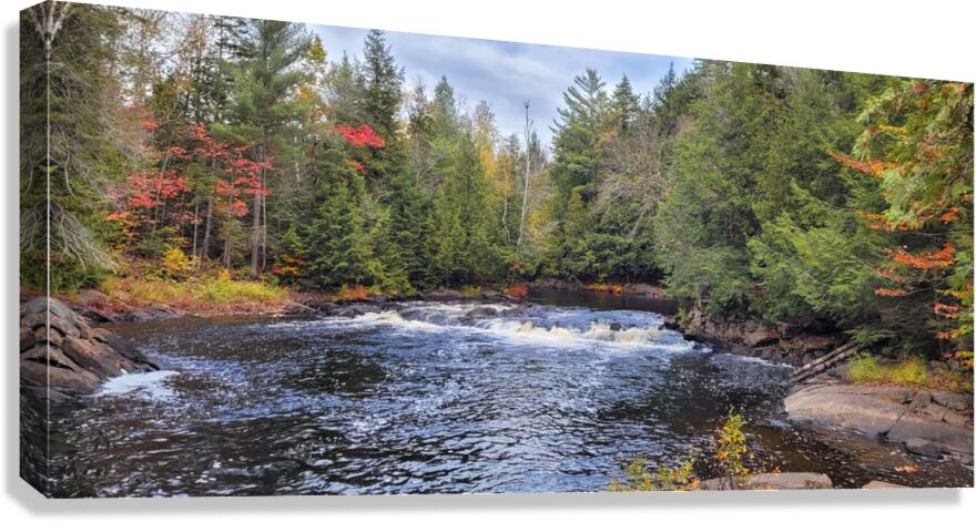 Algonquin Track and Tower Trail 2 Canvas Print