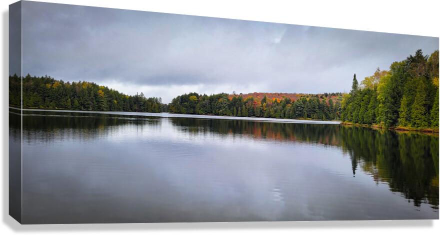 Limberlost Forest Solitaire Trail Canvas Print