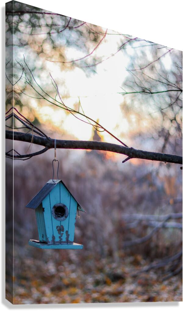 McLaughlin Bay Wildlife Reserve   birdhouse Canvas Print