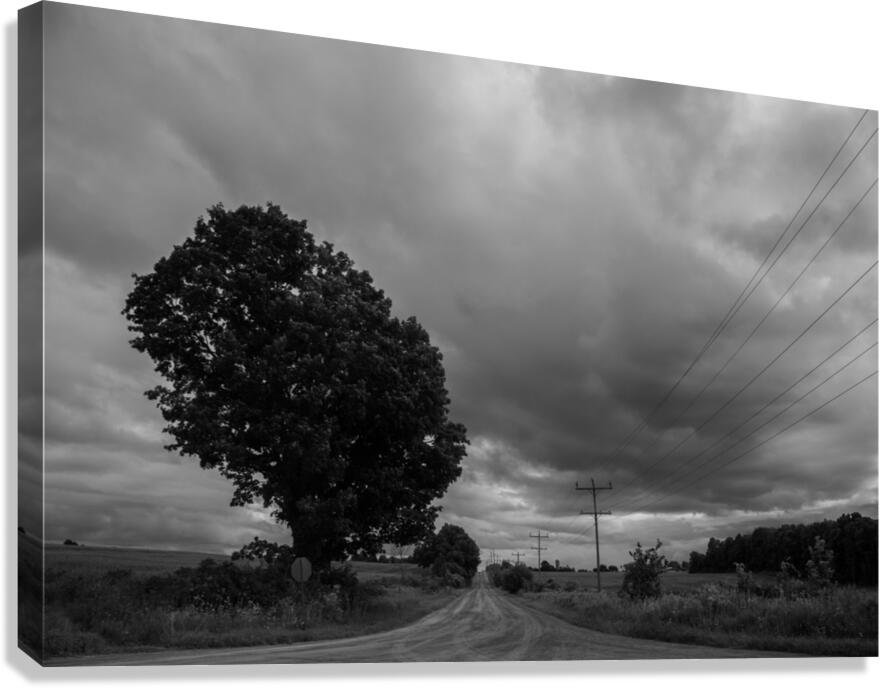 Ominous Road Canvas Print