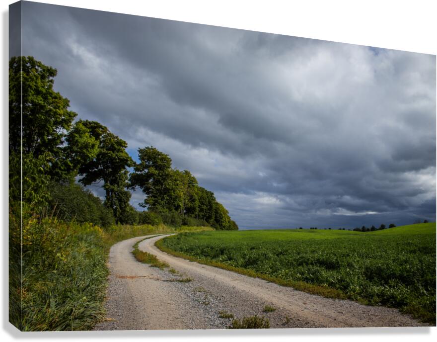 Sunday Drive Canvas Print
