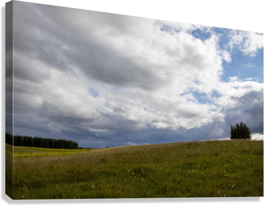 Rolling Meadow Canvas Print