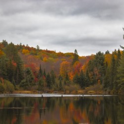 Algonquin Centenial Ridges 4