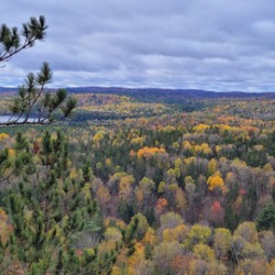 Algonquin Centenial Ridges 5