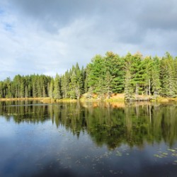 Algonquin Logging Museum trail