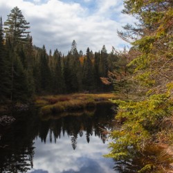 Algonquin Track and Tower