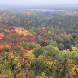 Cup and Saucer Trail 1
