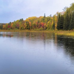 Killarney   The Crack 1