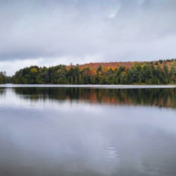 Limberlost Forest Solitaire Trail