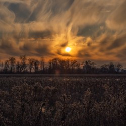 McLaughlin Bay Wildlife Reserve sunset