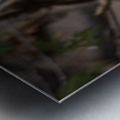 McLaughlin Bay Wildlife Reserve Chickadee Metal print