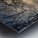 McLaughlin Bay Wildlife Reserve lake birds Metal print