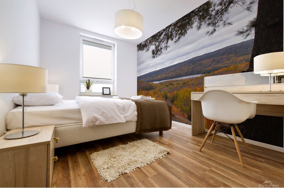 Algonquin Centenial Ridges 2 Mural print