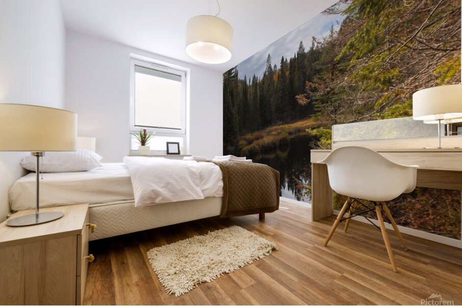 Algonquin Track and Tower Mural print