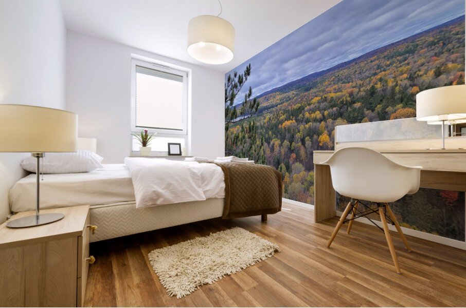 Algonquin Centenial Ridges 5 Mural print