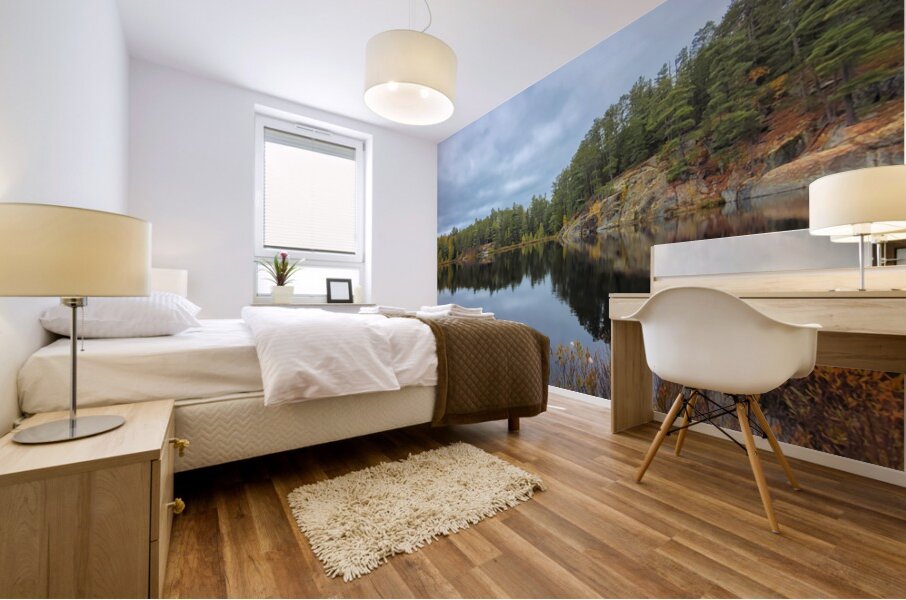 Algonquin Centenial Ridges 7 Mural print