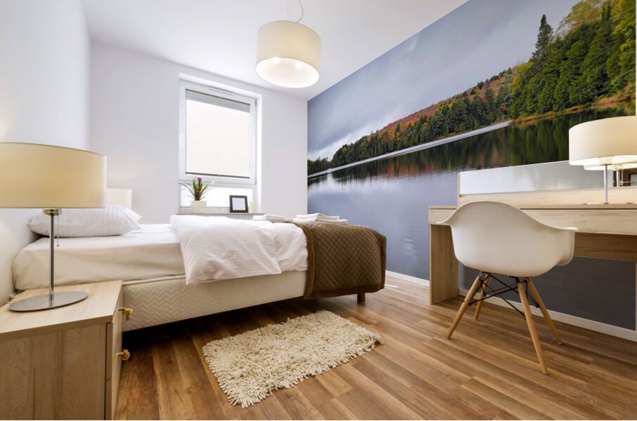 Limberlost Forest Solitaire Trail Mural print