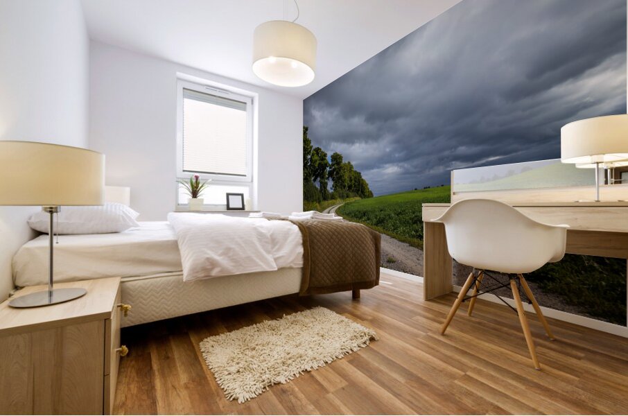 Sunday Drive Mural print