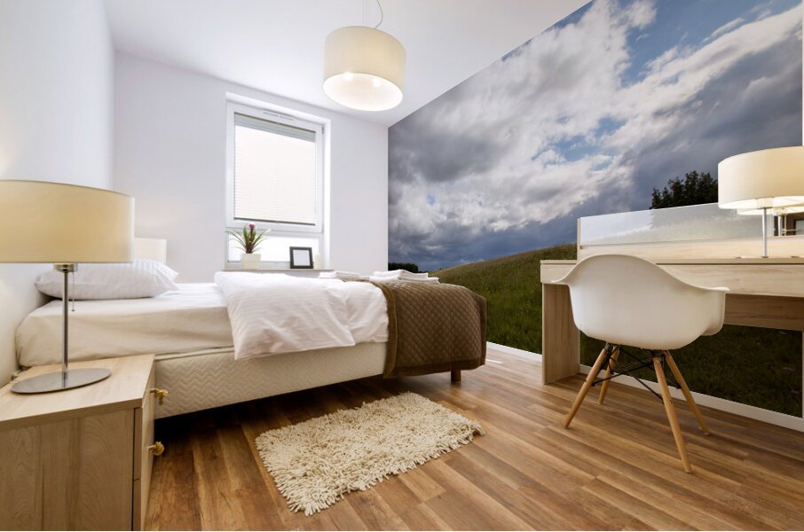 Rolling Meadow Mural print