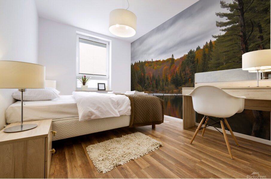 Algonquin Centenial Ridges 4 Mural print