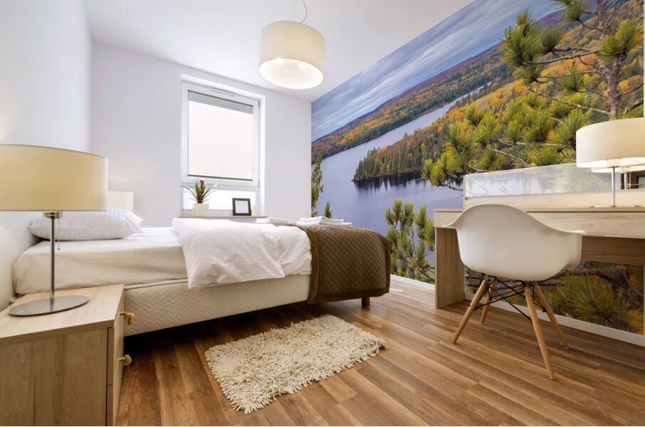 Algonquin Centenial Ridges 8 Mural print