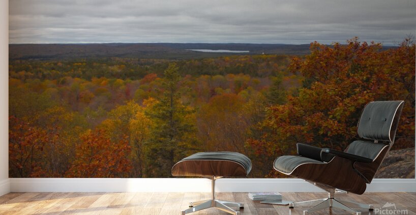 Algonquin Centenial Ridges 3 Wall Murals