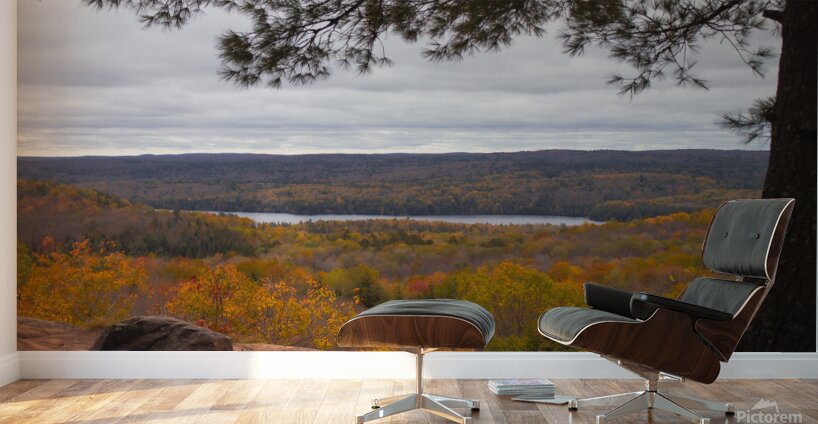 Algonquin Centenial Ridges 2 Wall Murals