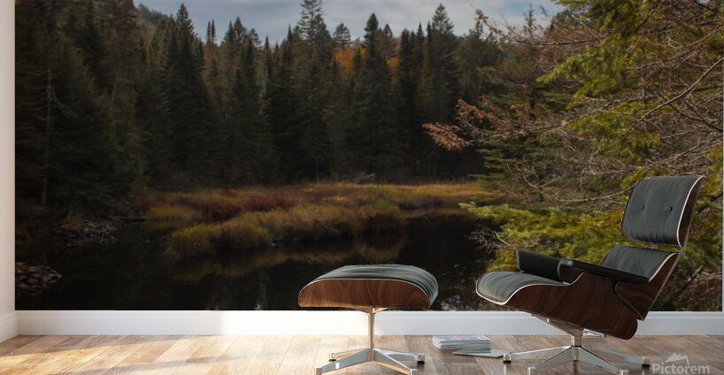 Algonquin Track and Tower Wall Murals