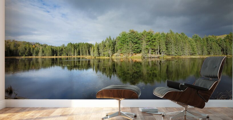 Algonquin Logging Museum trail Wall Murals