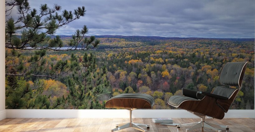 Algonquin Centenial Ridges 5 Wall Murals
