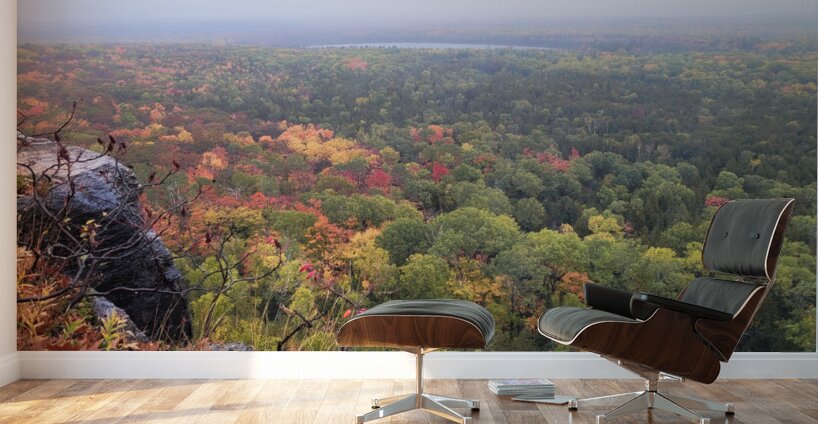 Cup and Saucer Trail 1 Wall Murals