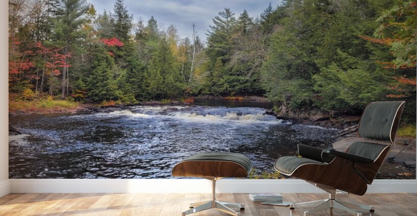 Algonquin Track and Tower Trail 2 Wall Murals