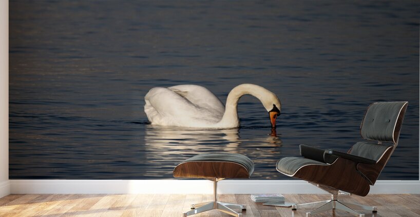 Toronto Lakefront Swan Wall Murals