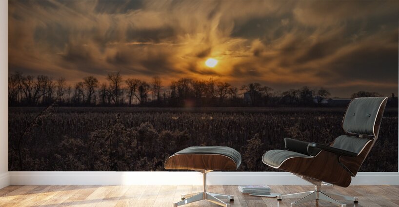 McLaughlin Bay Wildlife Reserve sunset Wall Murals