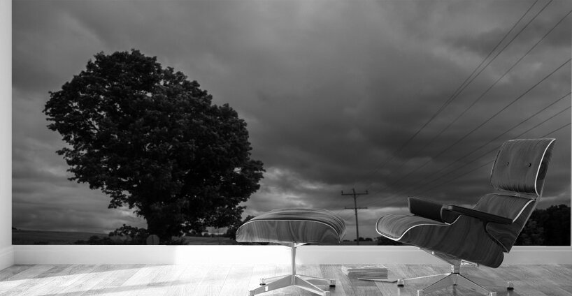 Ominous Road Wall Murals